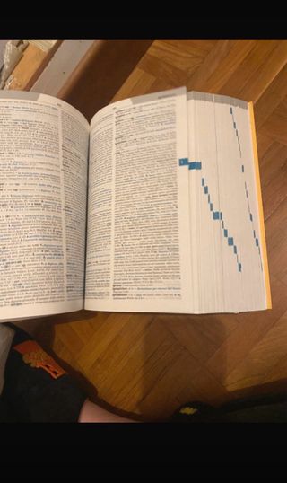 Dizionario Latino Il Latino - Conte, Pianezzola, R