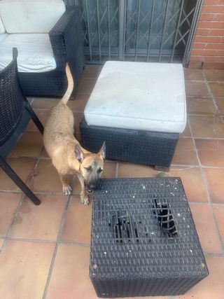 Mesa y 6 sillas de terraza ratán. Sofa de ratan