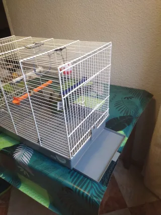Jaula para pájaros,