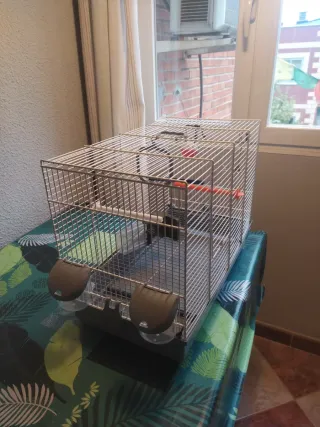Jaula para pájaros,