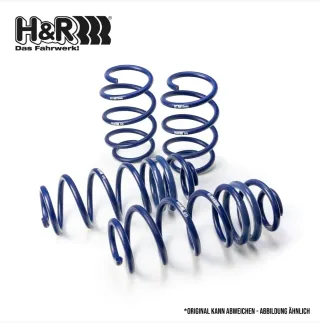 Muelles Deportivos H&R (Set de 4 Nuevos sin abrir