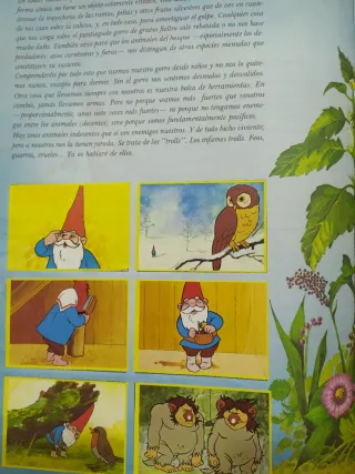 Álbum completo de David el Gnomo de Danone del año