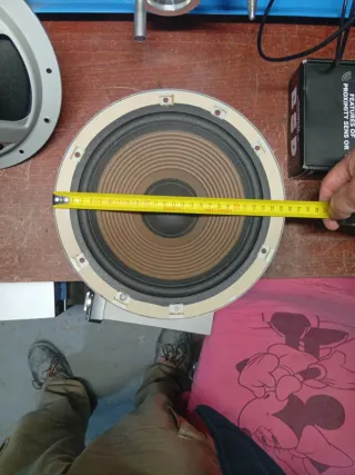 2 Woofer Technics EAS-25PL170S 8 ohmios