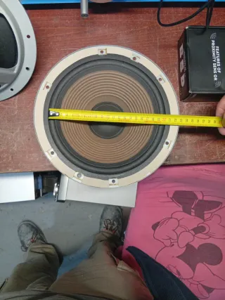 2 Woofer Technics EAS-25PL170S 8 ohmios