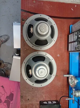2 Woofer Technics EAS-25PL170S 8 ohmios