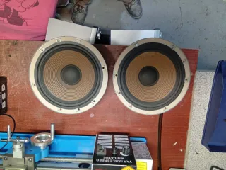 2 Woofer Technics EAS-25PL170S 8 ohmios