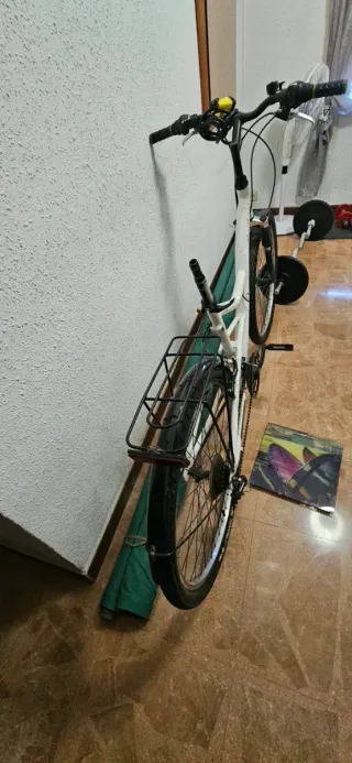 Bicicleta de paseo