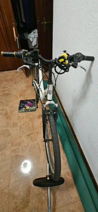 Bicicleta de paseo