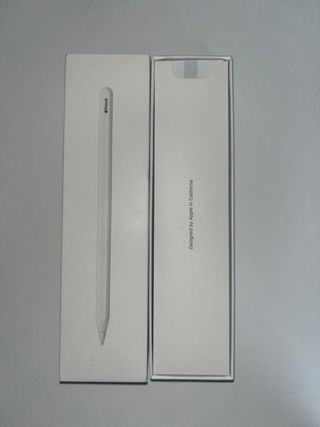 Apple Pencil (2ª gen.)