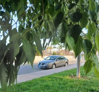 Volkswagen Passat 2008
