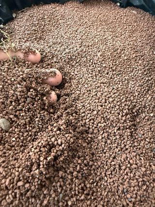 Acuario 300L completo con mueble