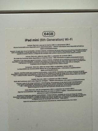 iPad mini 6 Gris Espacial