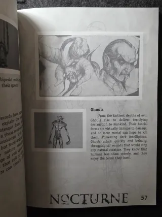 Manual del juego Nocturne PC