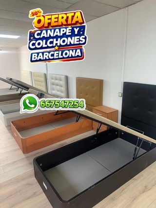 Canape canape canape canape canape canape canape