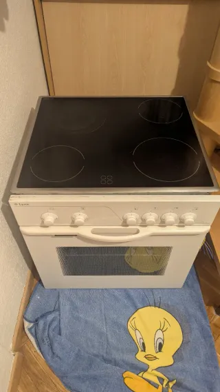 Placa vitrocerámica + Horno