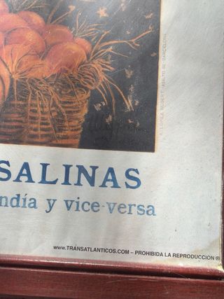 Cartel Vapores Transatlánticos Pinillos