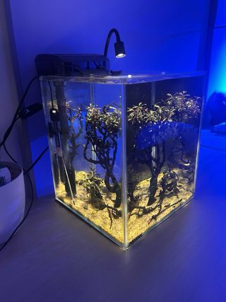 Acuario 20L Completo