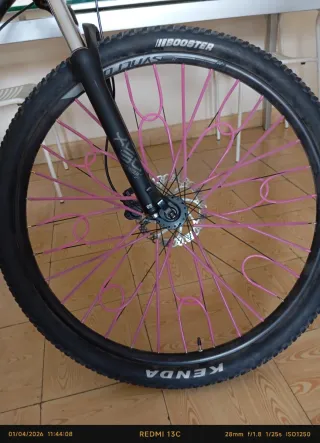 Bicicleta Scott Montaña Ruedas Rosas
