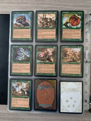 95 Cartas MTG Edición Fortaleza