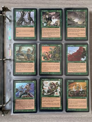 95 Cartas MTG Edición Fortaleza