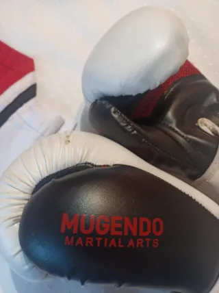 Conjunto Mugendo Arte Marcial: