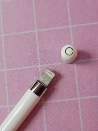 Apple pencil (1a Gen)