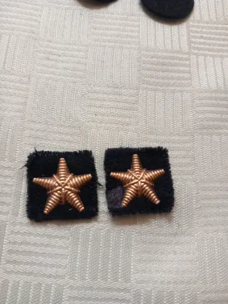 Set Collezionismo Militaria - Fregi Bavero Vintage
