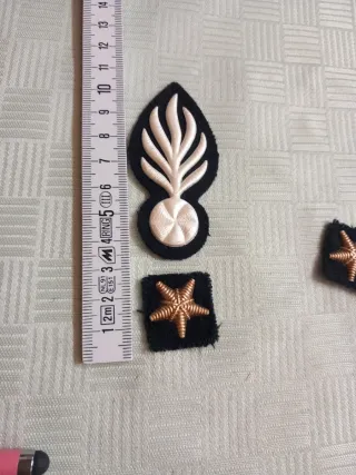 Set Collezionismo Militaria - Fregi Bavero Vintage