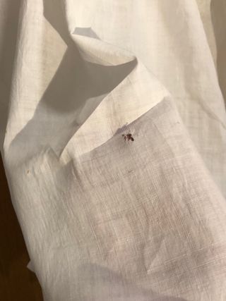 Blusa abotonada antigua