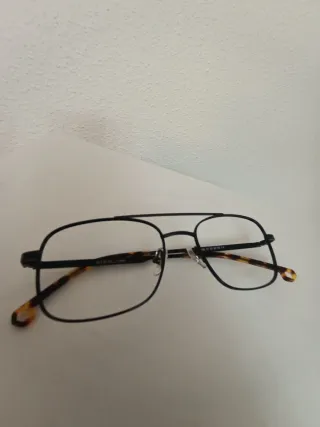 Gafas de ver negras y marrones