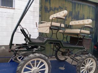 Carro coche de caballos de doma 6 plazas con lanza