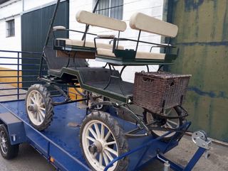 Carro coche de caballos de doma 6 plazas con lanza