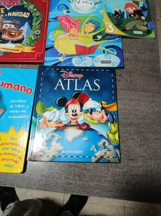 Lote de libros variados, disney