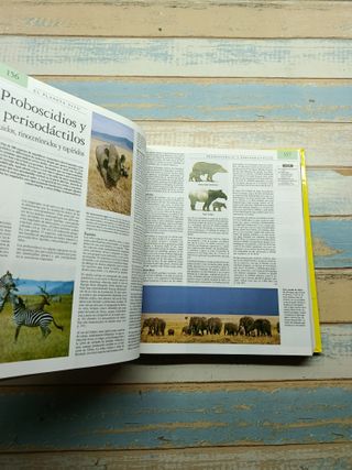 Enciclopedia Temática Guinness – Edición Especial