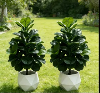 Planta Artificial 95cms