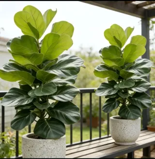 Planta Artificial 113cms