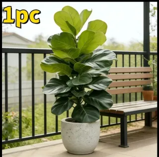 Planta Artificial 113cms