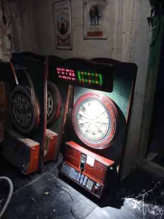 Diana Electrónica Profesional