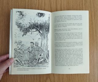 Novela "O misterio das badaladas"