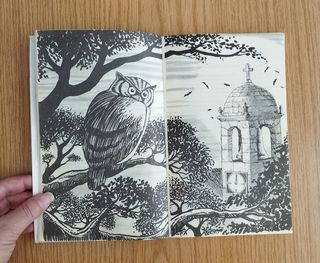 Novela "O misterio das badaladas"