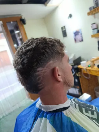 Peluquero a domicilio