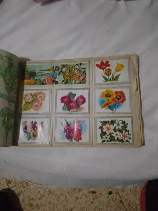 Álbum Vida y Color con 380 cromos