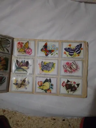 Álbum Vida y Color con 380 cromos