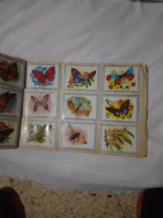 Álbum Vida y Color con 380 cromos