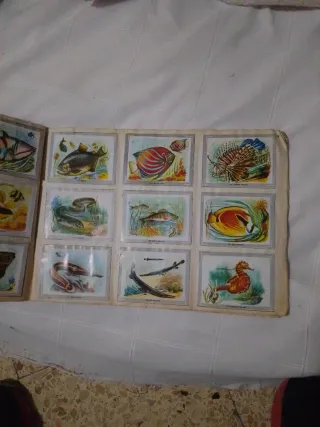 Álbum Vida y Color con 380 cromos