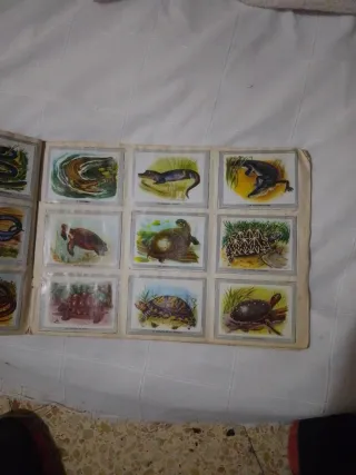 Álbum Vida y Color con 380 cromos