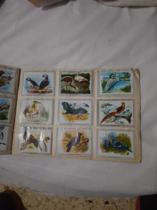 Álbum Vida y Color con 380 cromos