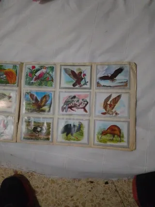 Álbum Vida y Color con 380 cromos