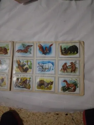 Álbum Vida y Color con 380 cromos