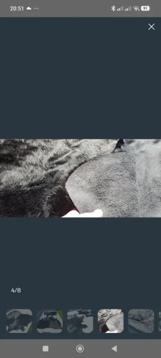 Piel Vaca Negra Pelo Largo Mambo Unlimited